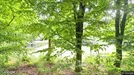 Lejlighed til leje, Toftlund, Østmarken<span class="blurred street-number" onclick="ProcessAdRequest(1296587)"><span class="hint">Se vejnr.</span>[xxxxxxxx]</span>