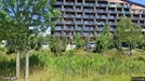 Lejlighed til leje, Solrød Strand, Fortunas Have<span class="blurred street-number" onclick="ProcessAdRequest(1300727)"><span class="hint">Se vejnr.</span>[xxxxxxxx]</span>