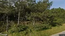 Lejlighed til leje, Rømø, Engvej<span class="blurred street-number" onclick="ProcessAdRequest(1303879)"><span class="hint">Se vejnr.</span>[xxxxxxxx]</span>