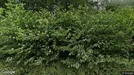 Lejlighed til leje, Sønder Felding, Solhjemvej<span class="blurred street-number" onclick="ProcessAdRequest(1307350)"><span class="hint">Se vejnr.</span>[xxxxxxxx]</span>