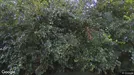 Lejlighed til leje, Kolding, Eltangvej<span class="blurred street-number" onclick="ProcessAdRequest(1309915)"><span class="hint">Se vejnr.</span>[xxxxxxxx]</span>
