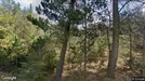 Lejlighed til leje, Hals, Skovvej<span class="blurred street-number" onclick="ProcessAdRequest(1313015)"><span class="hint">Se vejnr.</span>[xxxxxxxx]</span>