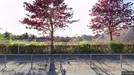 Lejlighed til leje, Smørum, Søagerhusene<span class="blurred street-number" onclick="ProcessAdRequest(1367811)"><span class="hint">Se vej-nummer</span>[xxxxxxxxxxxx]</span>