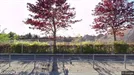 Lejlighed til leje, Smørum, Søagerhusene<span class="blurred street-number" onclick="ProcessAdRequest(1376041)"><span class="hint">Se vejnr.</span>[xxxxxxxx]</span>