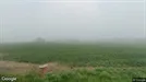 Lejlighed til leje, Snedsted, Iruplundvej<span class="blurred street-number" onclick="ProcessAdRequest(1376412)"><span class="hint">Se vejnr.</span>[xxxxxxxx]</span>