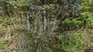 Lejlighed til leje, Rømø, Råbjergvej<span class="blurred street-number" onclick="ProcessAdRequest(1381116)"><span class="hint">Se vejnr.</span>[xxxxxxxx]</span>