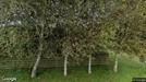 Lejlighed til leje, Højer, Kærgårdvej<span class="blurred street-number" onclick="ProcessAdRequest(1381643)"><span class="hint">Se vejnr.</span>[xxxxxxxx]</span>