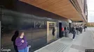 Lejlighed til leje, Odense C, Torvegade<span class="blurred street-number" onclick="ProcessAdRequest(1383467)"><span class="hint">Se vejnr.</span>[xxxxxxxx]</span>