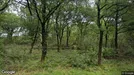 Lejlighed til leje, Skjern, Lindvigvej<span class="blurred street-number" onclick="ProcessAdRequest(1387631)"><span class="hint">Se vejnr.</span>[xxxxxxxx]</span>