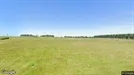 Lejlighed til leje, Bjerringbro, Hindbærkrattet<span class="blurred street-number" onclick="ProcessAdRequest(1399231)"><span class="hint">Se vejnr.</span>[xxxxxxxx]</span>