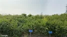 Lejlighed til leje, Herning, Koustrup Have<span class="blurred street-number" onclick="ProcessAdRequest(1400755)"><span class="hint">Se vejnr.</span>[xxxxxxxx]</span>