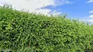 Lejlighed til leje, Bjert, Binderup Strandvej<span class="blurred street-number" onclick="ProcessAdRequest(1401930)"><span class="hint">Se vejnr.</span>[xxxxxxxx]</span>