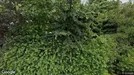 Lejlighed til leje, Løgstør, Skovbakkevej<span class="blurred street-number" onclick="ProcessAdRequest(872476)"><span class="hint">Se vejnr.</span>[xxxxxxxx]</span>