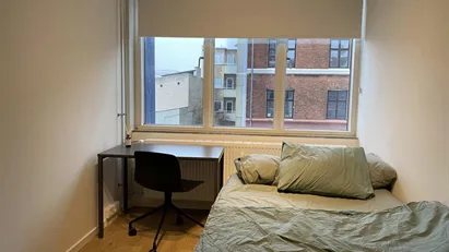 Looking for a Flatmate in Nørrebro