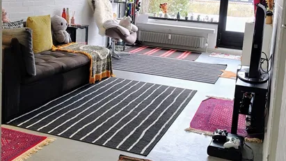 Looking for a student sublet